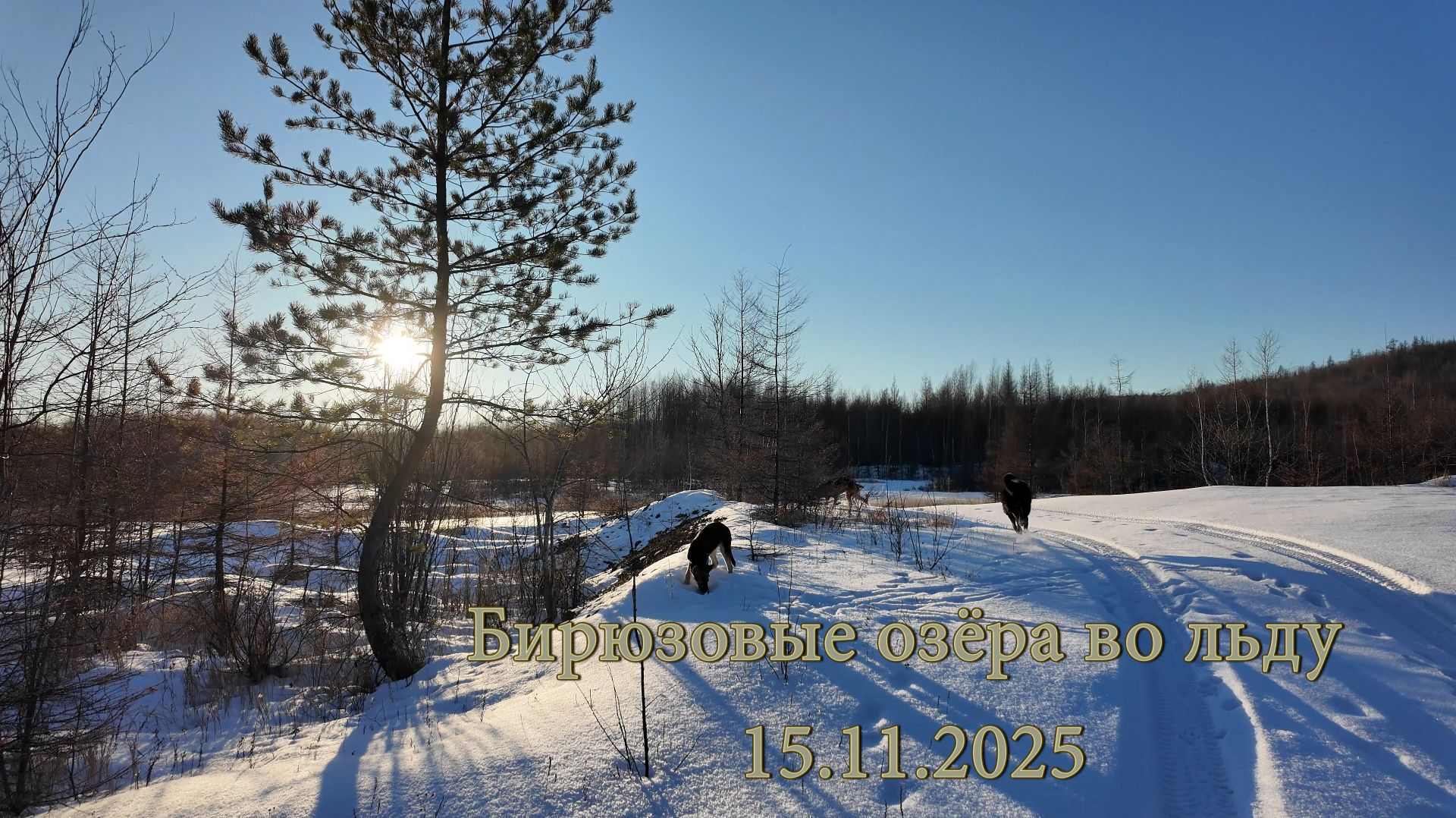 Бирюзовые озёра во льду. 15.11.2025 смотреть онлайн