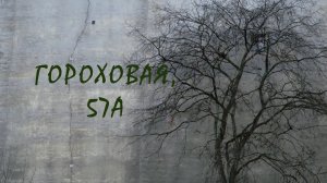 Гороховая 57а. Режиссёр Анастасия Осинцева