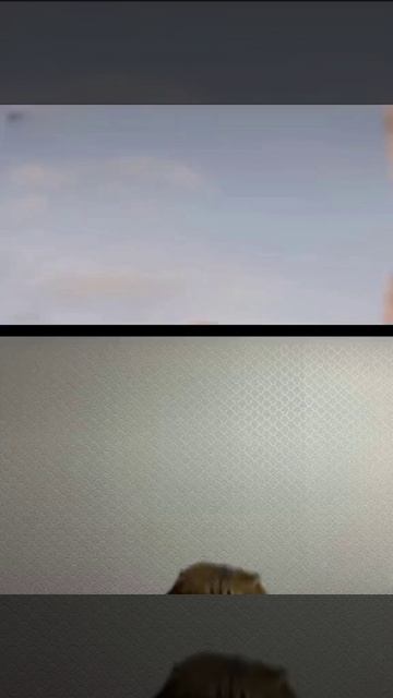 7352c7f3-f013-4f75-bd82-68390528847c смотреть онлайн