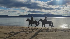 Воскресная прогулка