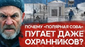 Колония Полярная сова Тюрьма для самых страшных преступников Теория Всего