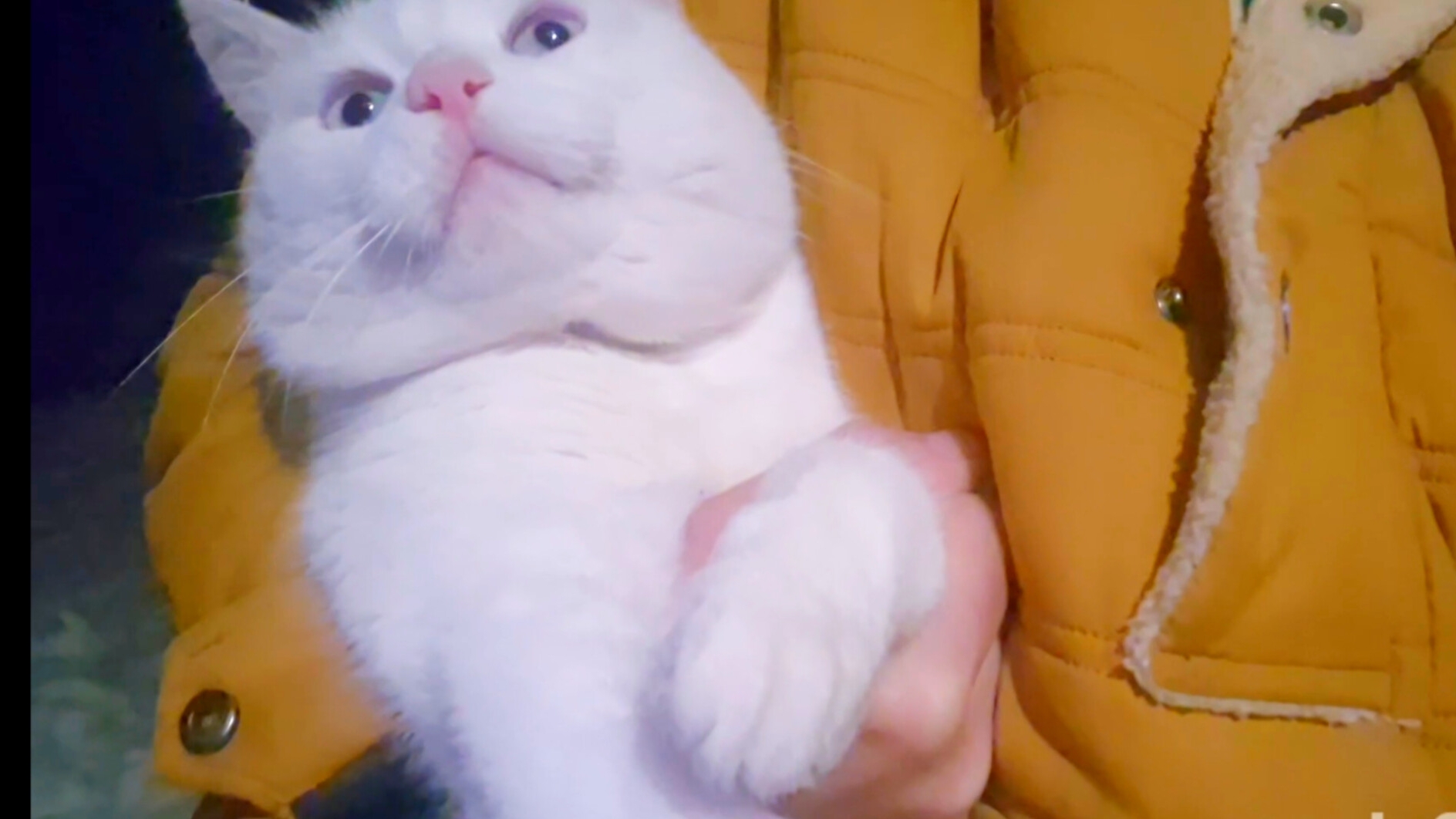 Наша жизнь в Деревне,Вата сам идёт в сарай,Что Купила смотреть онлайн