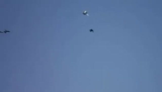 Полёт голубей