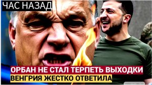 🔥 СЕНСАЦИЯ! ОРБАН РАЗОРВАЛ ЗЕЛЕНСКОГО ТЫ НИКТО! У ТЕБЯ НЕТ АРМИИ! ВЕНГРИЯ ГОТОВИТ ОТВЕТНЫЙ УДАР!