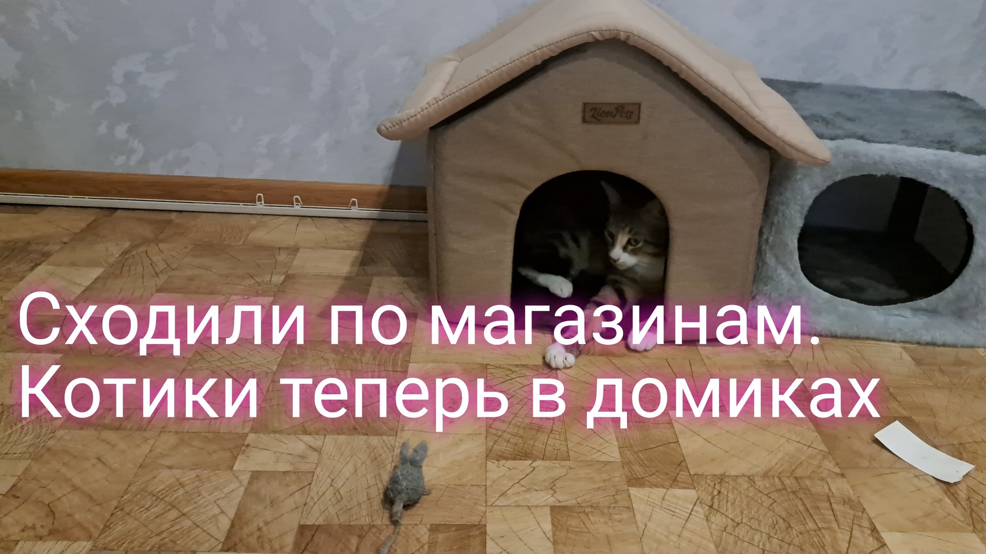 Сходили с сыном по магазинам/ котики теперь в домике/ ссылки внизу под видео смотреть онлайн