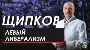 Левый либерализм. Щипков № 369