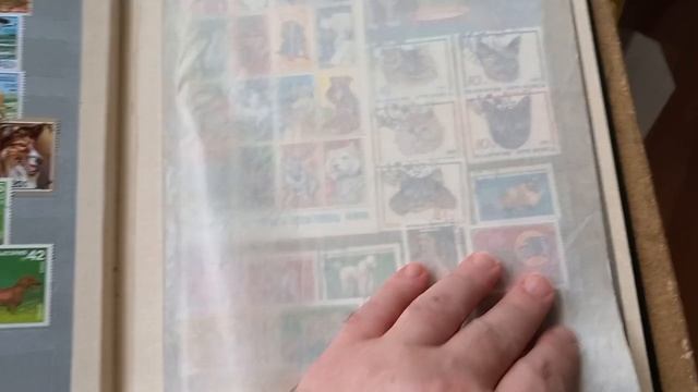 16 ноября 2025. Мои марки. смотреть онлайн