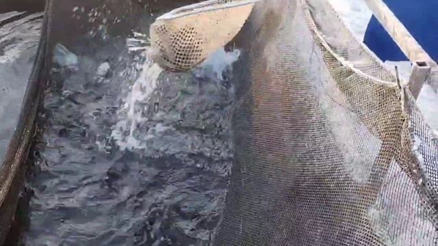 video_2025-11-16_10-54-39 смотреть онлайн