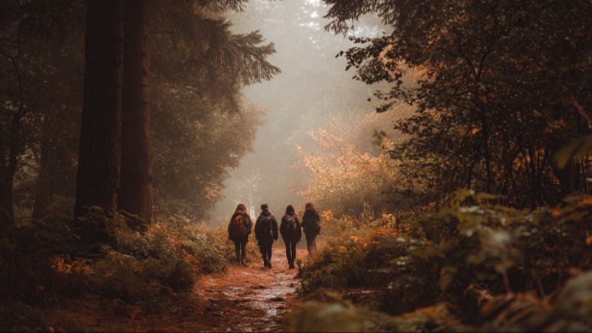 Духовный туризм или психологическая ловушка? Как ретриты превращаются в бизнес на доверии