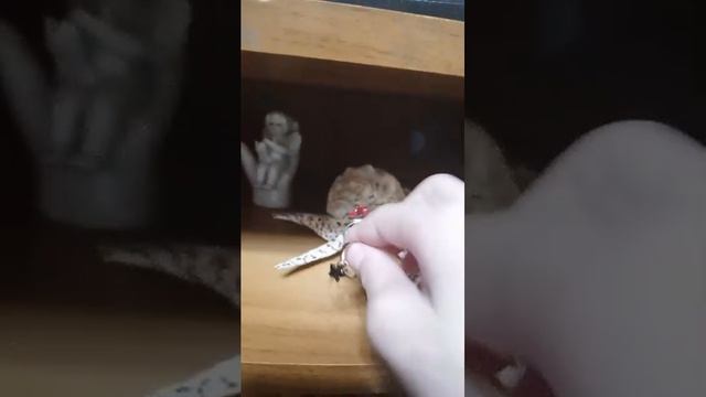 тогда смотреть онлайн