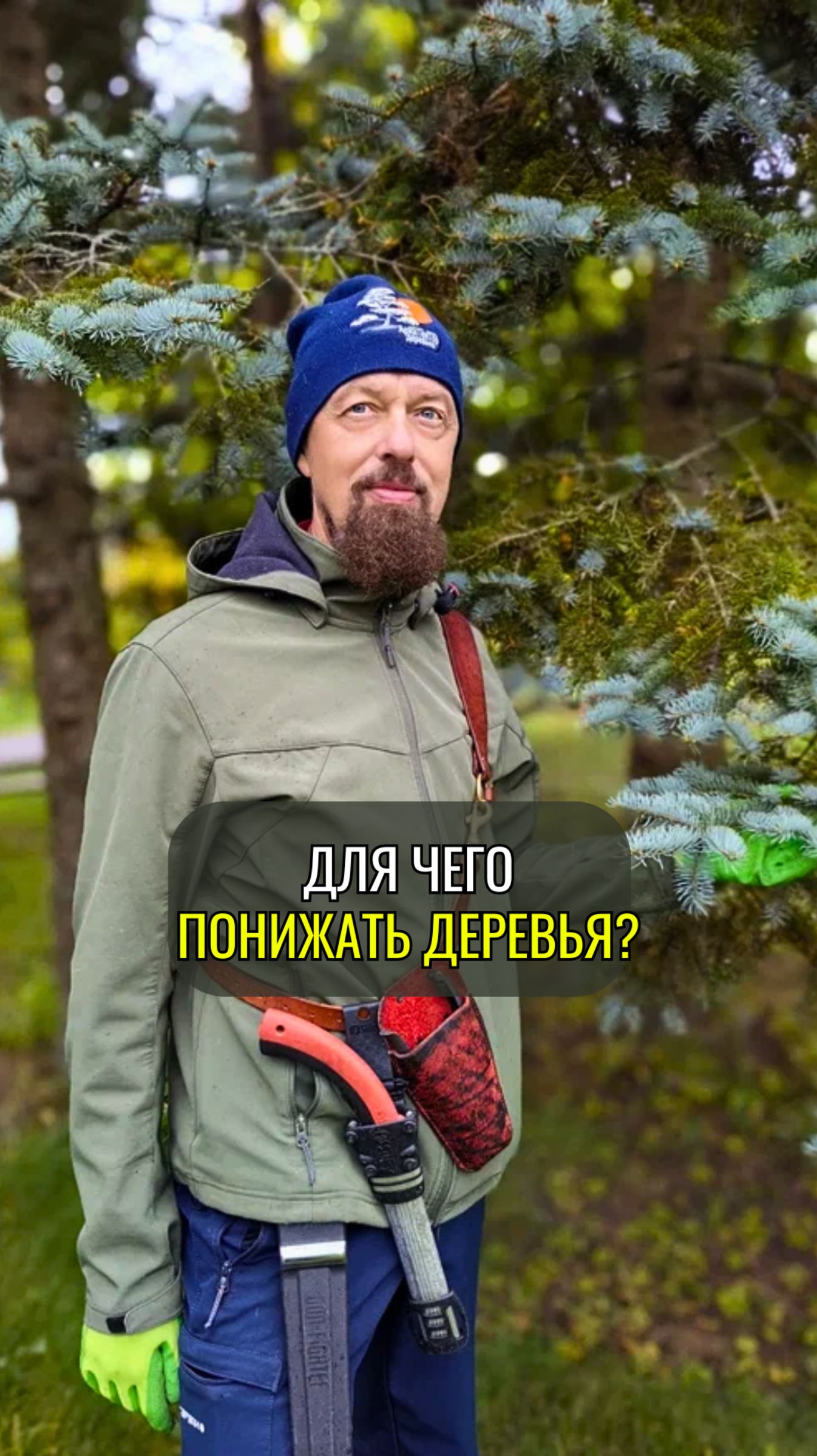 Для чего понижать деревья? смотреть онлайн