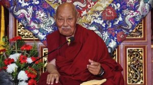 Архивное видео. Лудинг Ринпоче ушел из жизни в Бодхгае