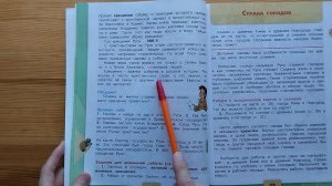 Вредные и гадкие утверждения при подаче истории детям в 4 классе