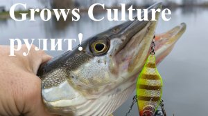 Наловил щук на раттлины от Grows Culture. Рыбалка в середине ноября