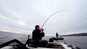 Сознание в шоке! Судаки, сазаны, окунь за кило. Лютый жор на спиннинг.