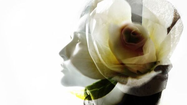 VA - Spring & Chillhouse Moves (2025) смотреть онлайн