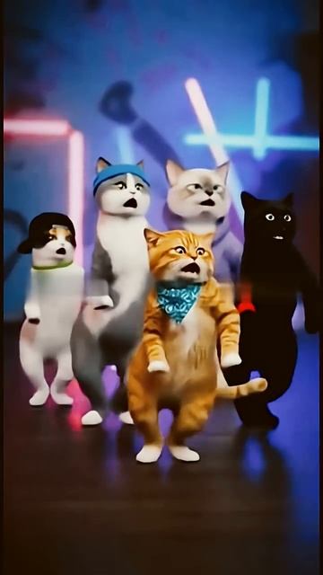 Коты танцуют.