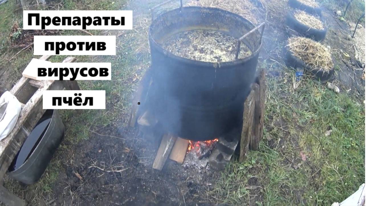 Лекарственные препараты против пчелиных вирусов. смотреть онлайн