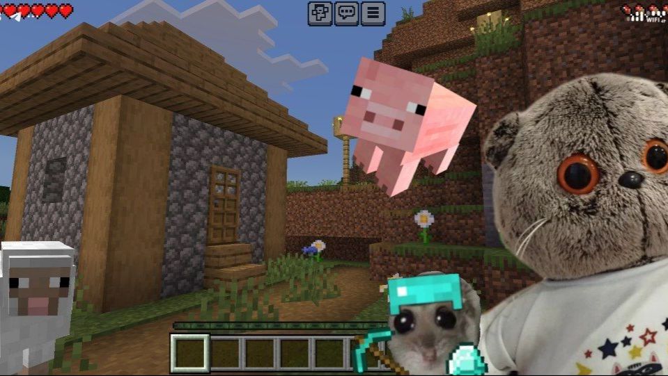 ИГРАЕМ В МАЙНКРАФТ ВМЕСТЕ С БАСИКОМ 💚
басики#басята#кот басик#лили