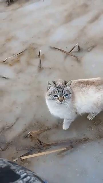 Мой рыбнадзор пришёл смотреть онлайн