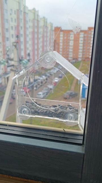 Прозрачная кормушка на окно.