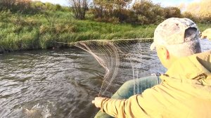 ПОСТАВИЛИ СЕТИ НА НОВОЕ МЕСТО И СРАЗУ УЛОВ. СТАВИМ СЕТИ А РЫБА УЖЕ ПОПАДАЕТ.