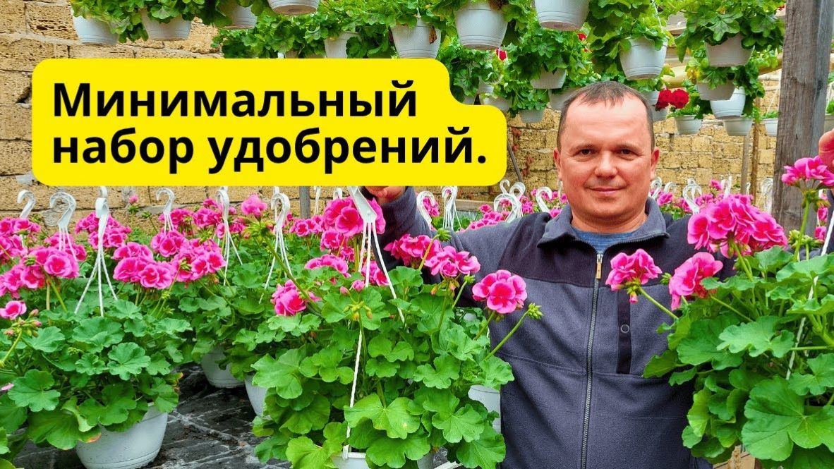 Какие удобрения нам понадобятся для растений в следующем сезоне. смотреть онлайн