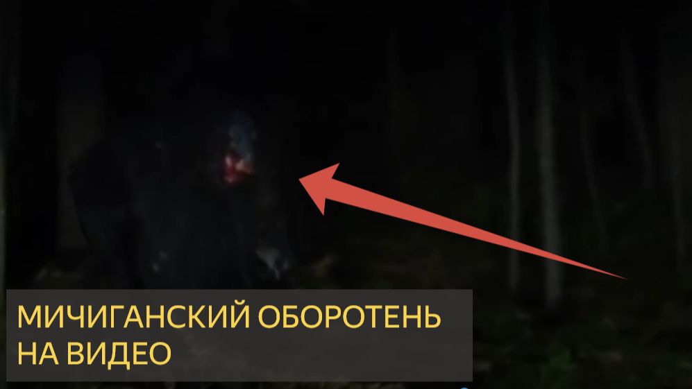 Оборотень найден. Видеозапись супружеской пары из Мичигана шокировала следователей смотреть онлайн