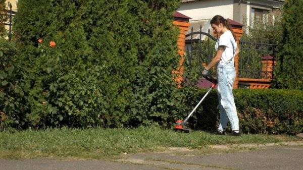 One for All 2024 200+