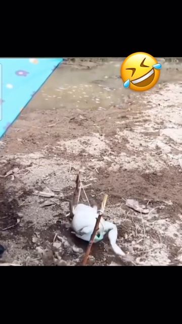 Теперь я видел всё😂 смотреть онлайн