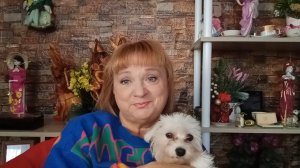 Поболтаем о том...о сем...