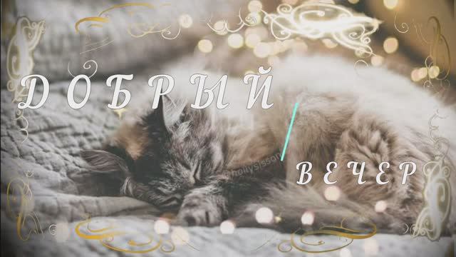 красивые пожелания доброго уютного вечера - добрый вечер красивые пожелания видео смотреть онлайн