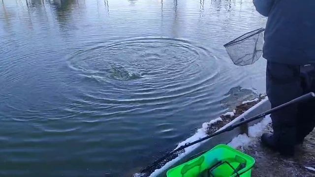 WhatsApp Video 2025-11-16 at 09.56.23 смотреть онлайн