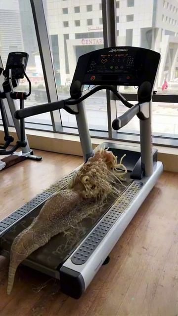 Что-то неведомое! смотреть онлайн