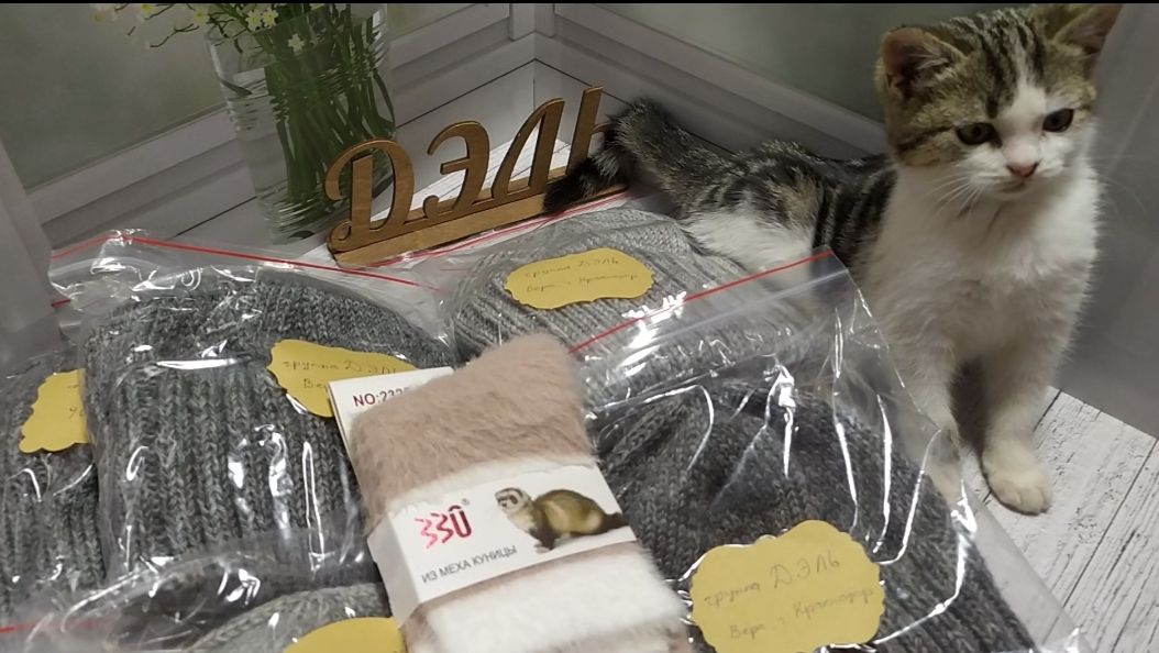 Продолжаем работать 17 ноября 2025 г. смотреть онлайн