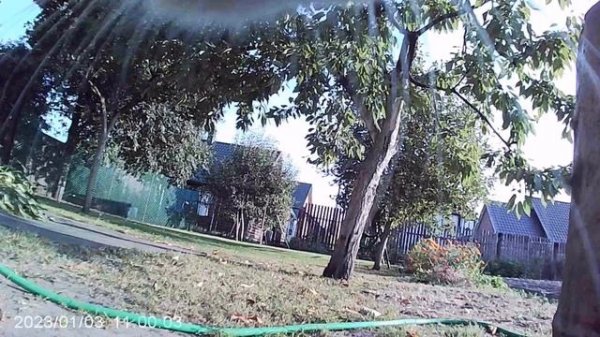 кот с камерой 3 анука давай-ка