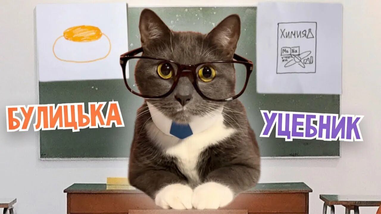 ЕСЛИ БЫ КОТИКИ ХОДИЛИ В ШКОЛУ - ЧТО ВАМ БОЛЬШЕ ВСЕГО НРАВИТСЯ В ШКОЛЕ？ смотреть онлайн