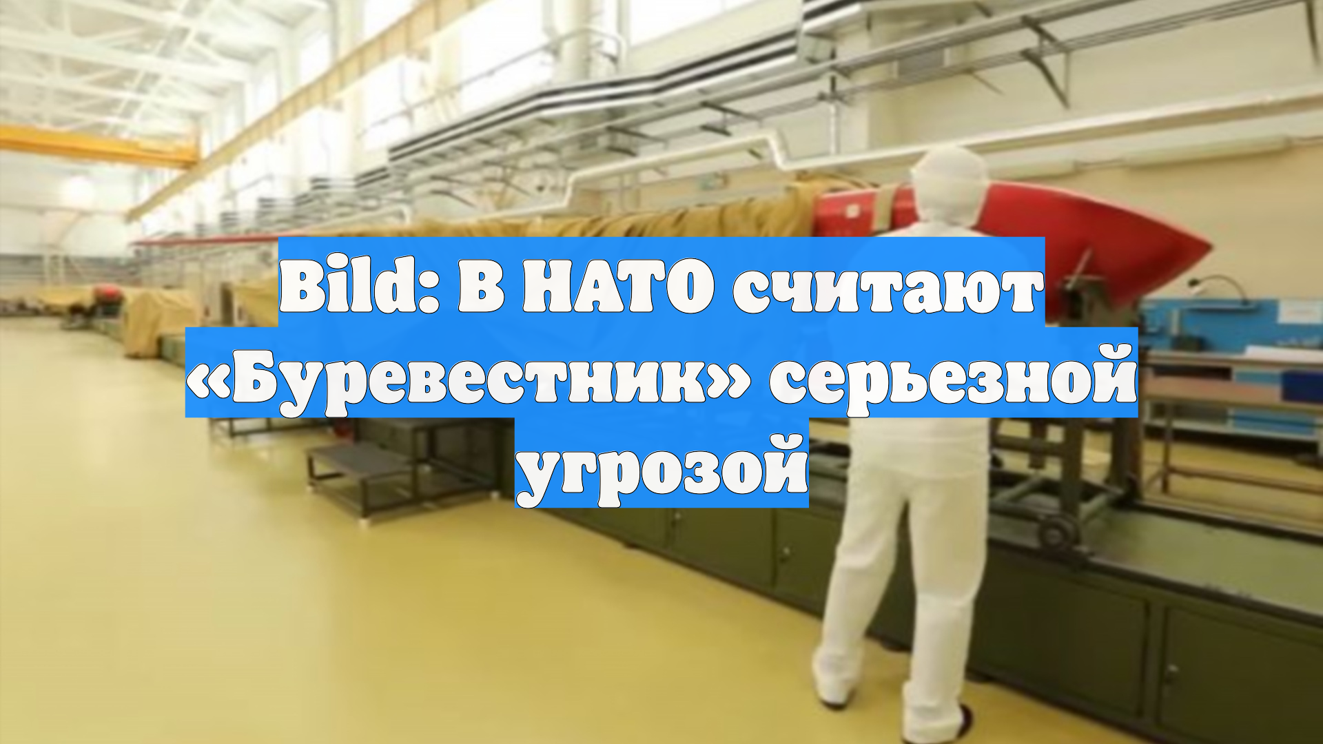 Bild: В НАТО считают «Буревестник» серьезной угрозой
