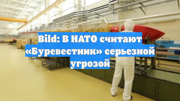 Bild: В НАТО считают «Буревестник» серьезной угрозой