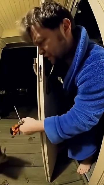 Кот-скрипач #cat #funny #прикольныекоты #веселыекоты #memes #нейросетьзахватитмир #котофейка