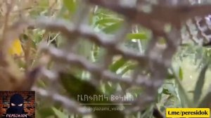 ВСУшник снял свои последние минуты