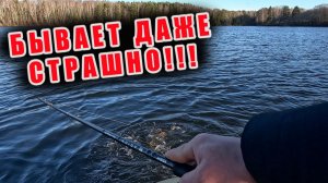 КОГДА ОНИ ВЫХОДЯТ, НАЧИНАЮТ ТРЯСТИСЬ КОЛЕНИ!!! СЕЗОН  НАСТОЯЩИХ ТРОФЕЙНЫХ РЫБАЛОК ОТКРЫТ!!!