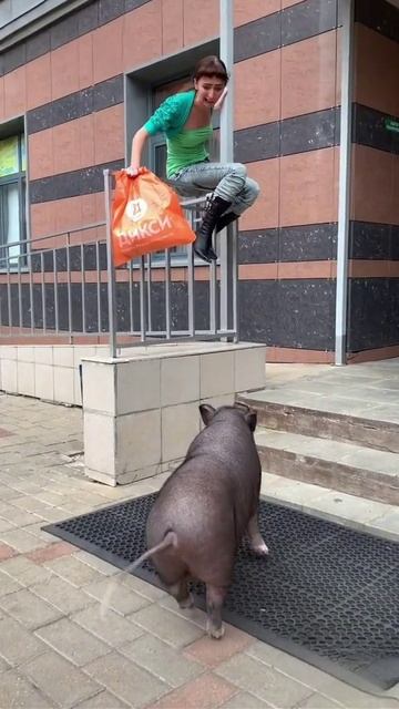 Реакция бори на шашлык! смотреть онлайн