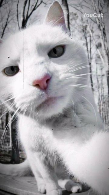 хз