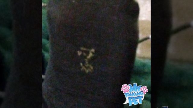 АПХПАХАПХХПААПХПАХХХАП