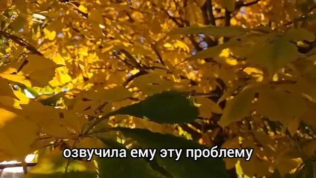 Медсестра застыла ,когда увидела в реанимации жениха... смотреть онлайн