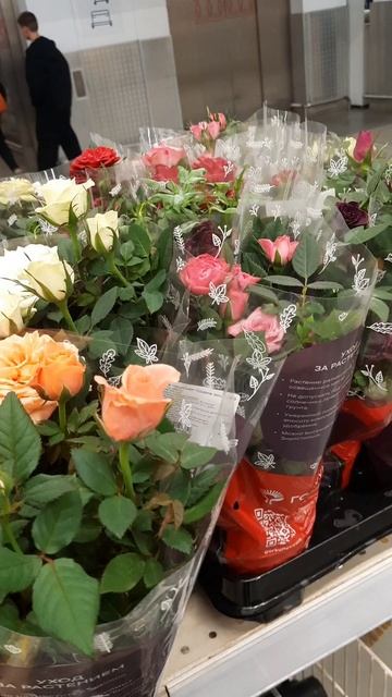 цветы в леруа мерлен уфа сегодня осень 2025