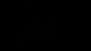 Братья мстят за отца