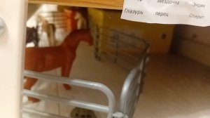 Обзор на конный клуб