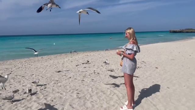 Cuba 2 смотреть онлайн